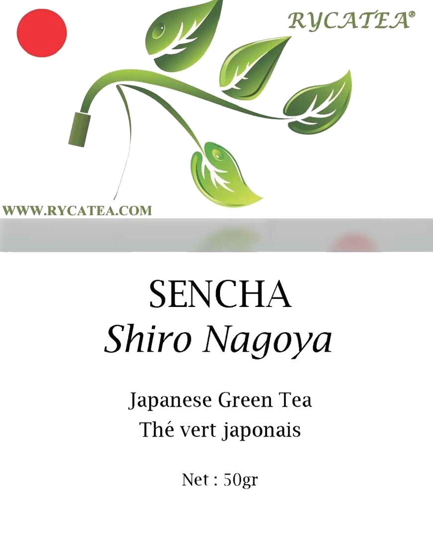 Sencha Shiro Nagoya